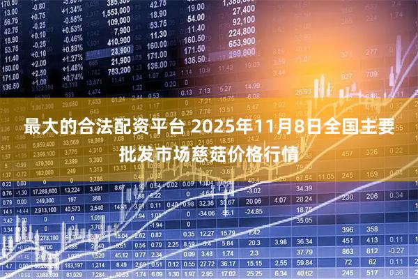 最大的合法配资平台 2025年11月8日全国主要批发市场慈菇价格行情