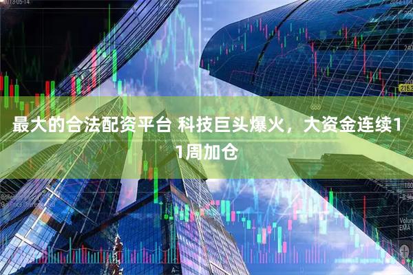 最大的合法配资平台 科技巨头爆火，大资金连续11周加仓