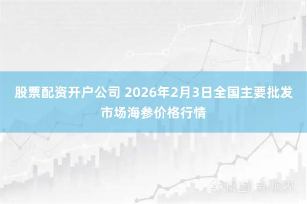 股票配资开户公司 2026年2月3日全国主要批发市场海参价格行情