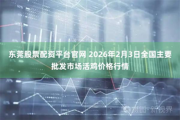 东莞股票配资平台官网 2026年2月3日全国主要批发市场活鸡价格行情
